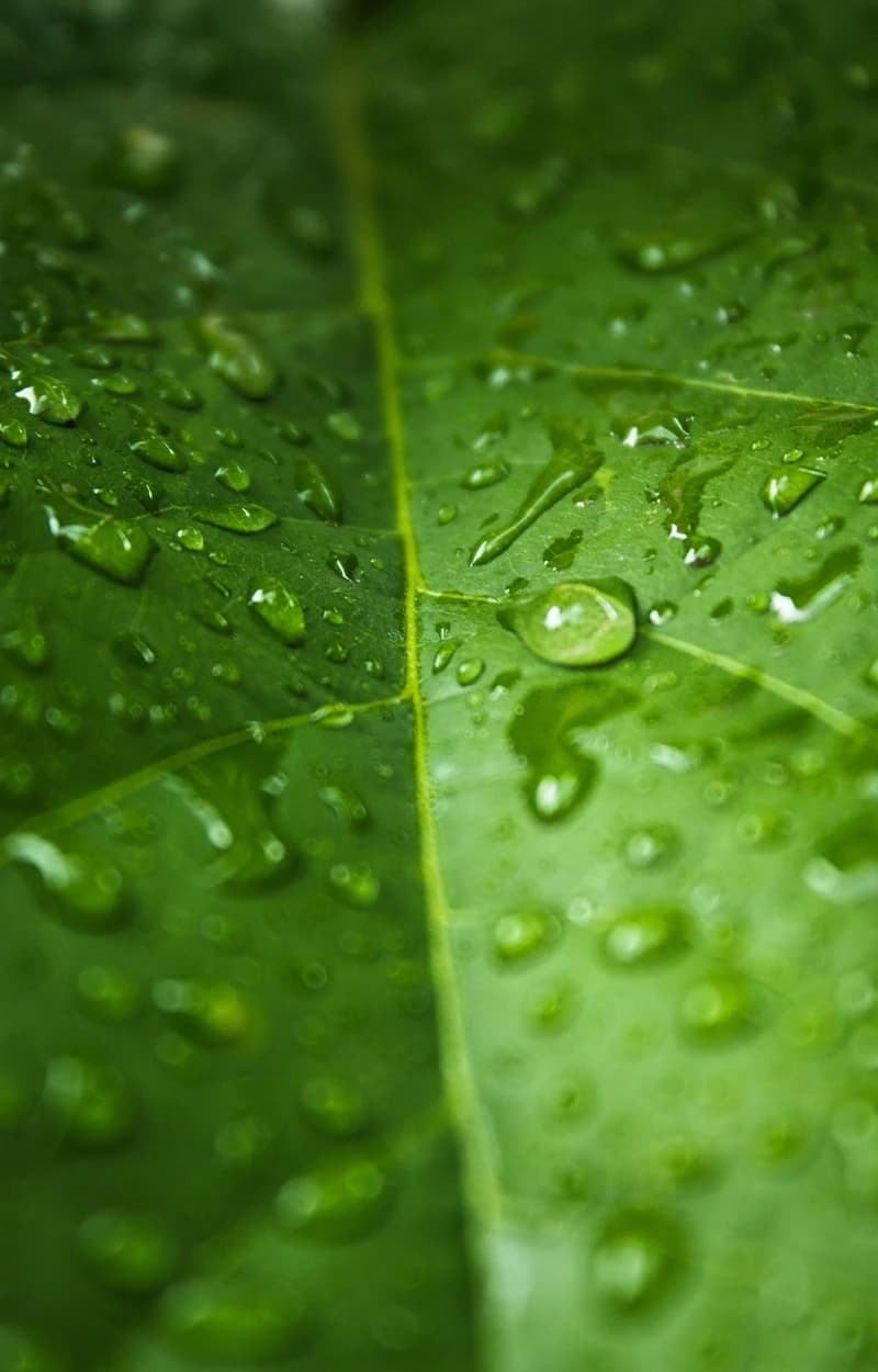 Rovo obrazec - pridružite se nam